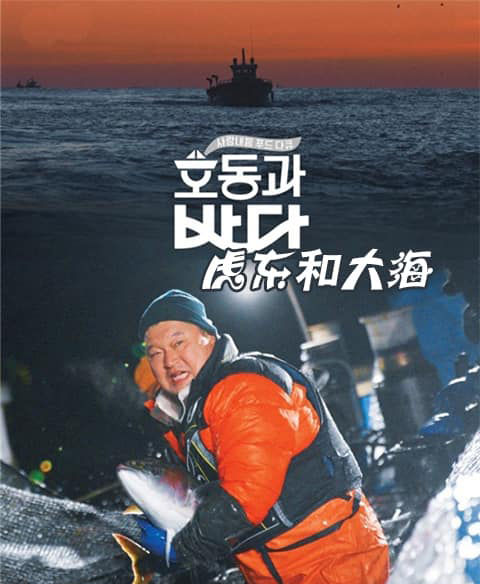 虎东和大海 200211 E03 中字百度云网盘在线观看